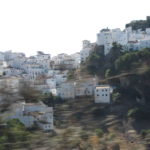 IMG_3750