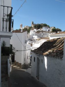 IMG_3768