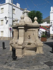 IMG_3772