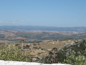 IMG_3790