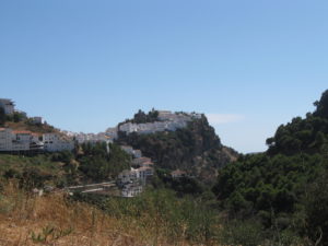IMG_3813