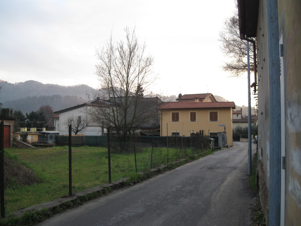 IMG_6356
