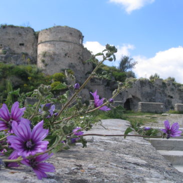 Gerace  –  Reggio Calabria – Italia.  La calidez del Sur.    Parte 1