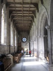 IMG_2379