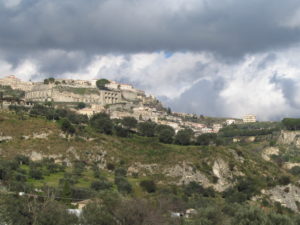 IMG_6339