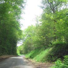 IMG_1114
