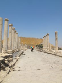 IMG_4883