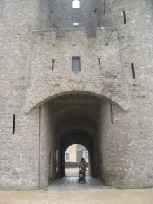 img_8925