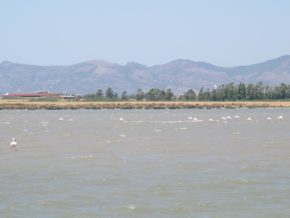 img_4640