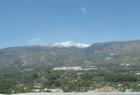 img_7363