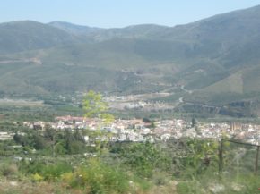 img_7379