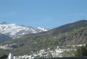 img_7426