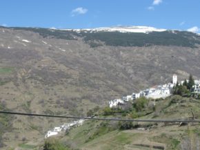 img_7503