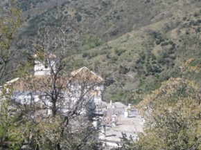 img_7507
